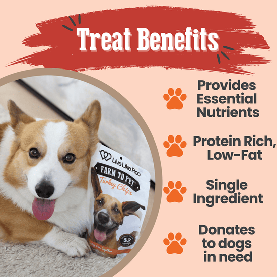Live Like Roo Turkey Chips for Dogs | Dog Treats That Give Back