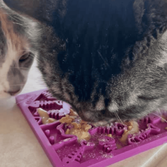 Lick Mats for Cats and Small Dogs