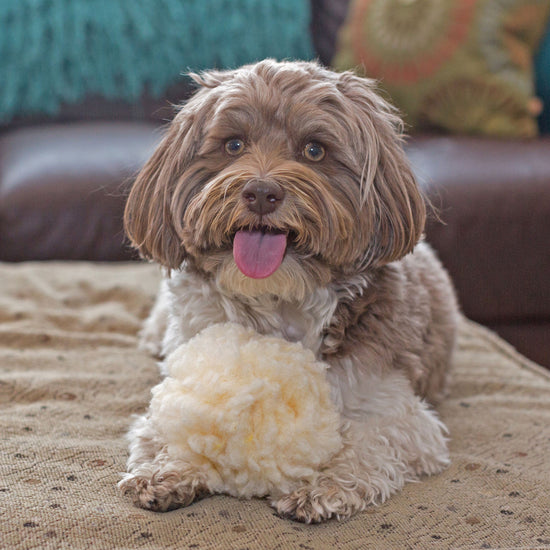 HuggleFleece® Plush Ball Dog Toy