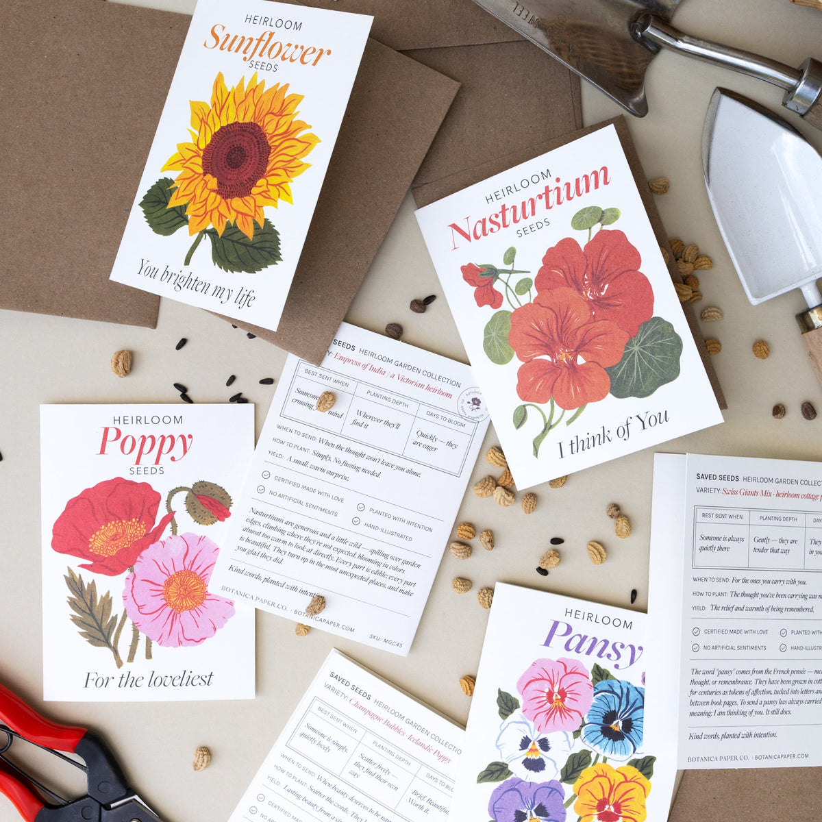FLOWERS | SEEDS OF KINDNESS A1 GREETING CARD SET OF 8