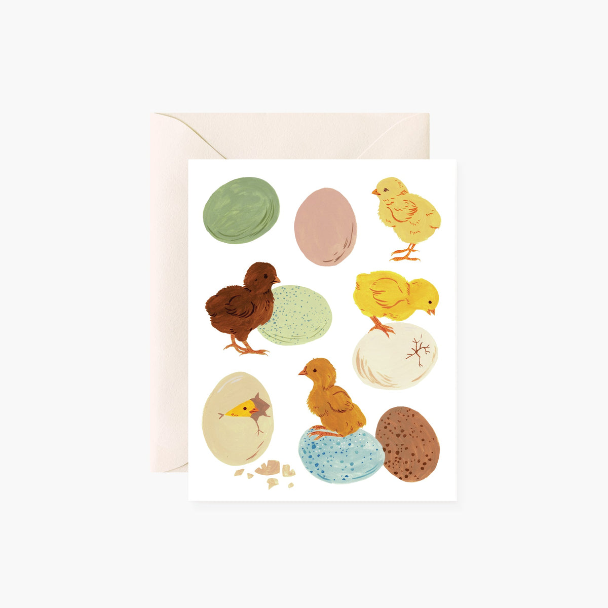 SPRING BABY CHICKS |  greeting card