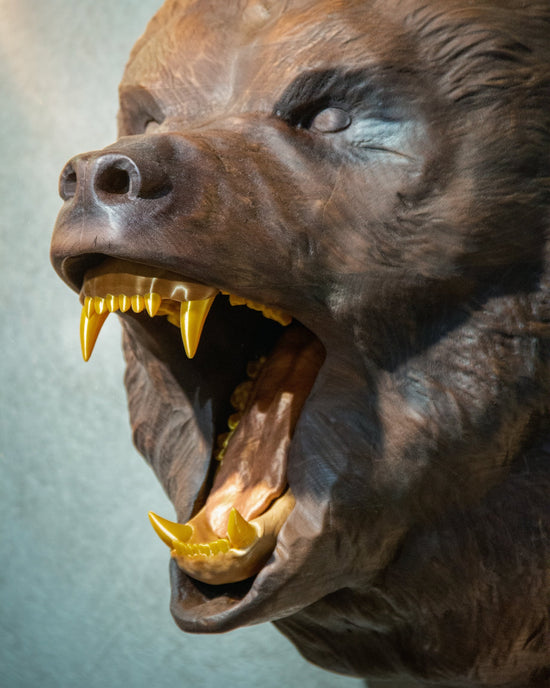 Hand-Carved Roaring Bear Head