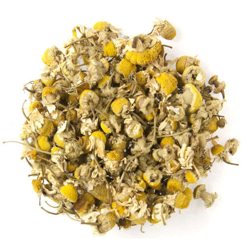 Egyptian Camomile