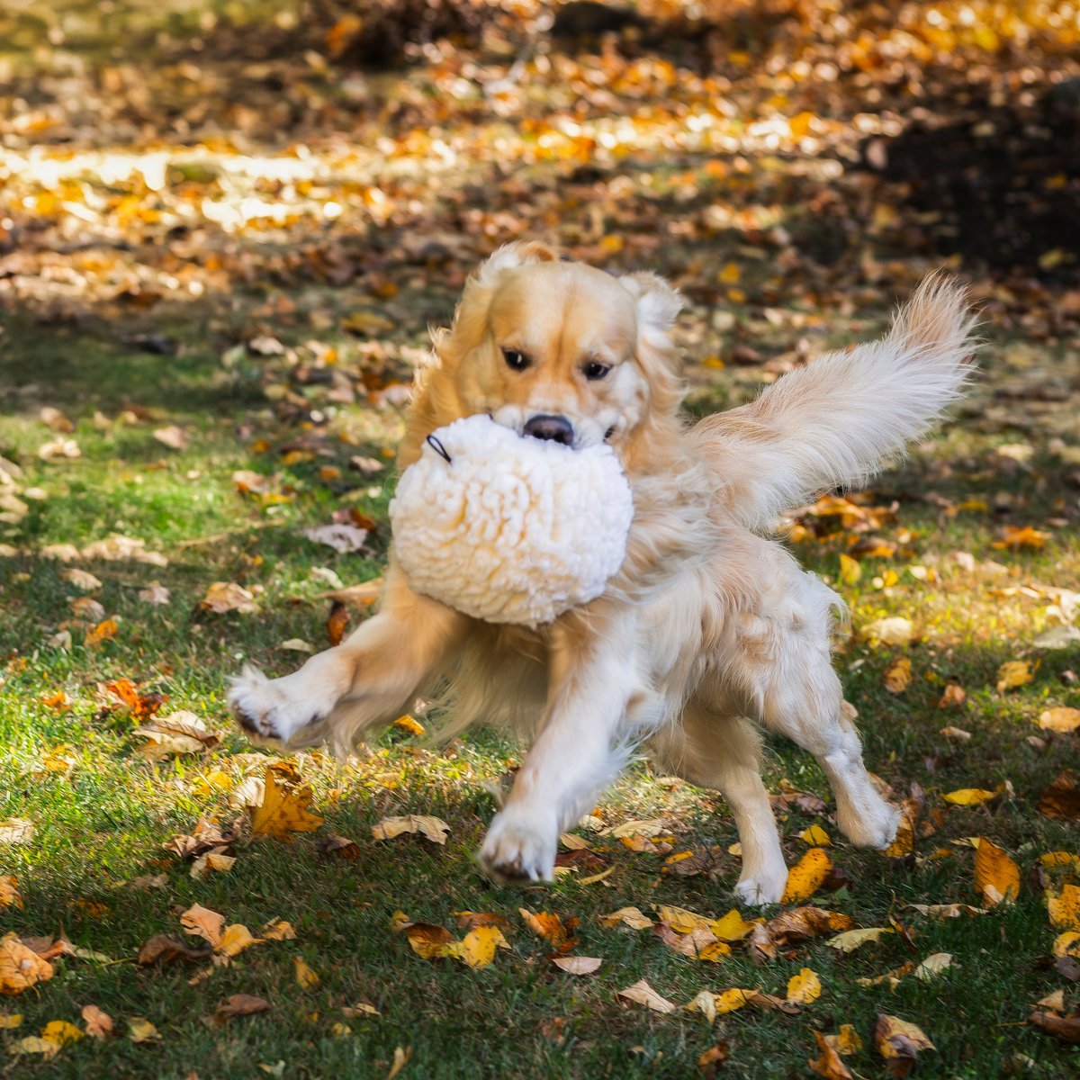 HuggleFleece® Plush Ball Dog Toy