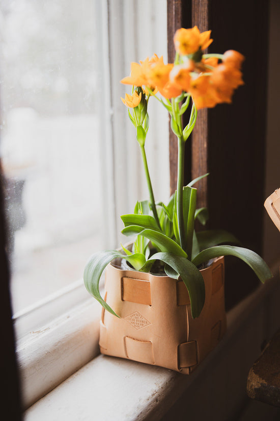 Leather Tabletop Planter  - USA Made