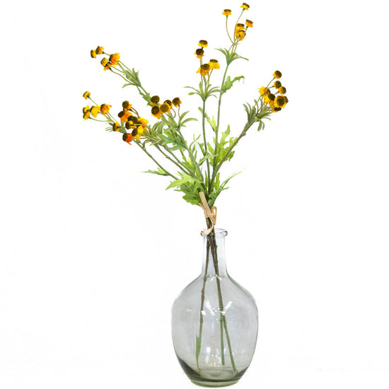 Black Eyed Yellow Susan Bundle