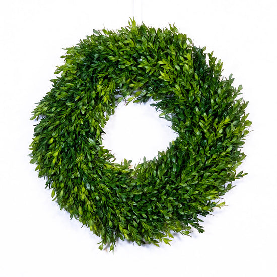 18" D Boxwood Wreath
