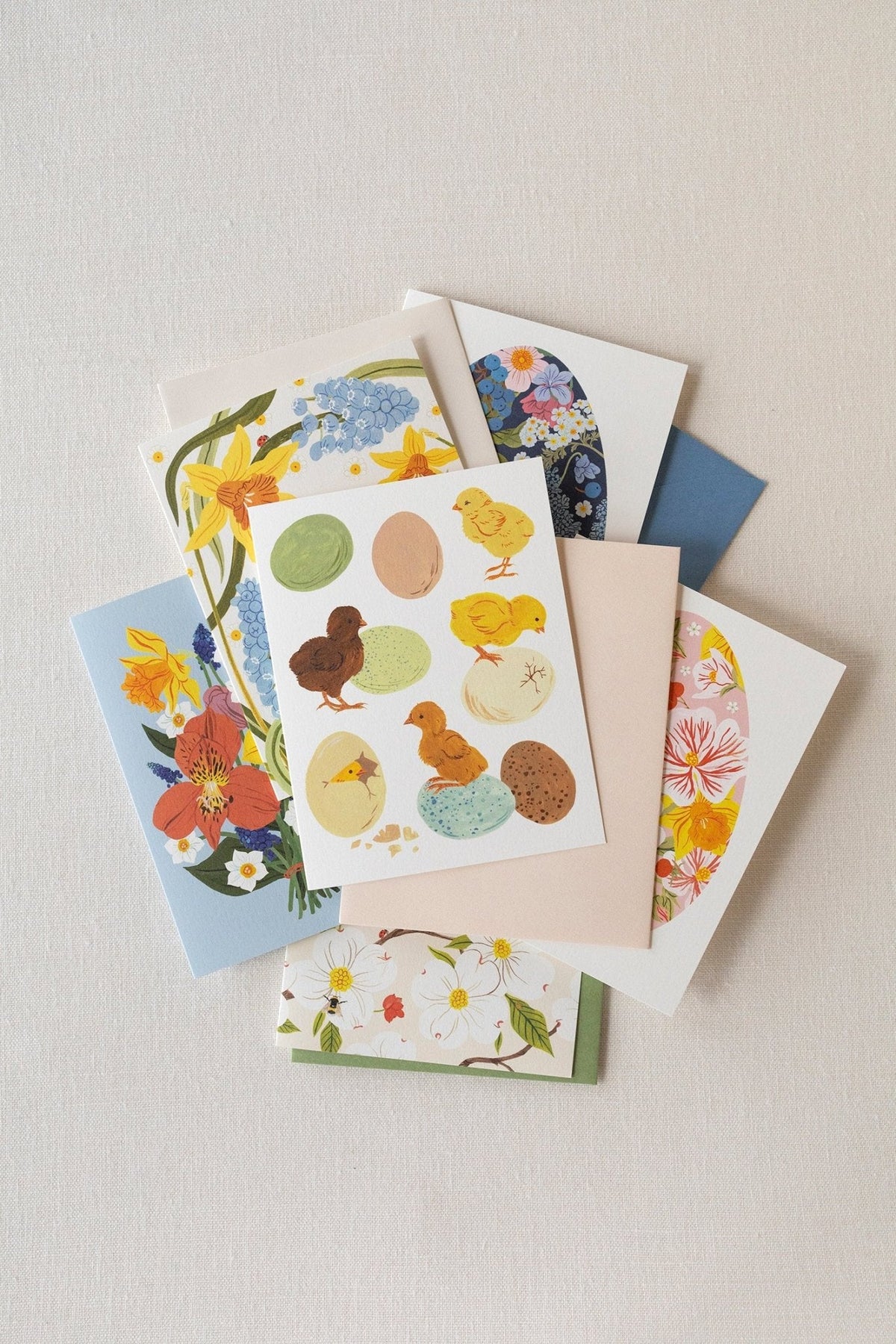 SPRING BABY CHICKS |  greeting card