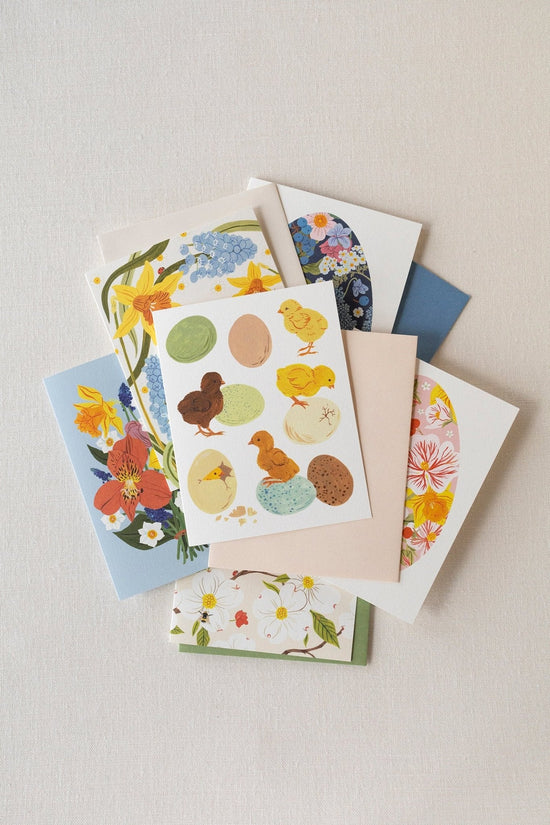 SPRING BABY CHICKS |  greeting card