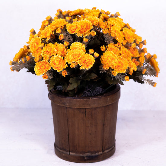 Mum Double Drop In Gold Yellow