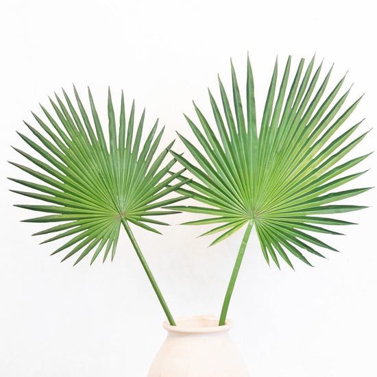 Fan Palm Spray 44"L
