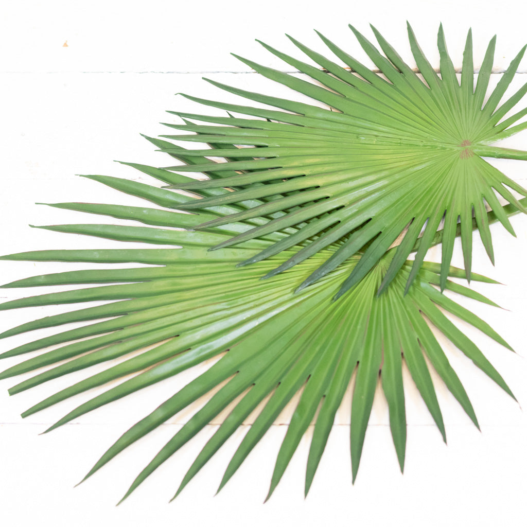 Fan Palm Spray 44"L