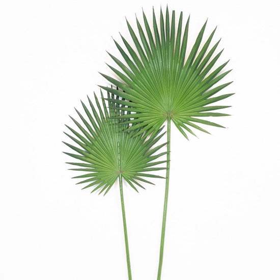 Fan Palm Spray 44"L