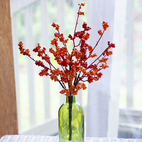 Orange Berry Bouquet Bush