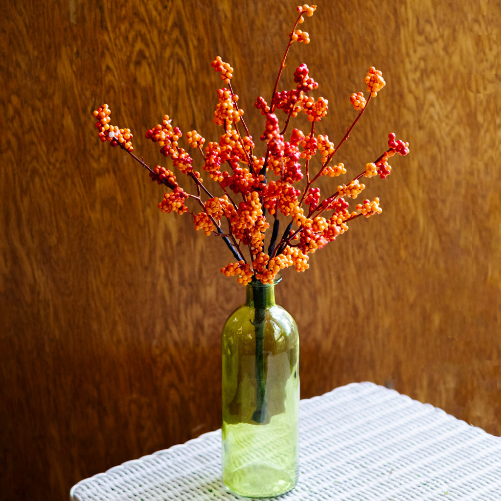 Orange Berry Bouquet Bush
