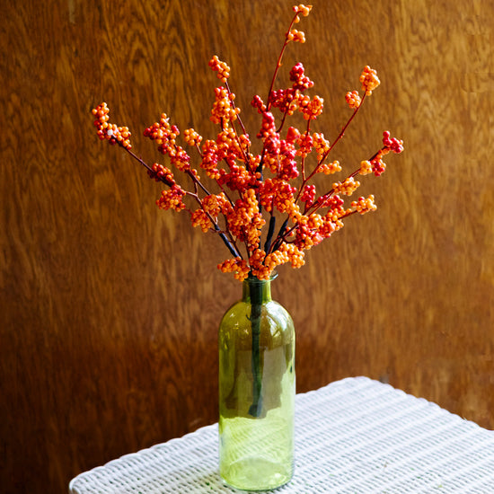 Orange Berry Bouquet Bush