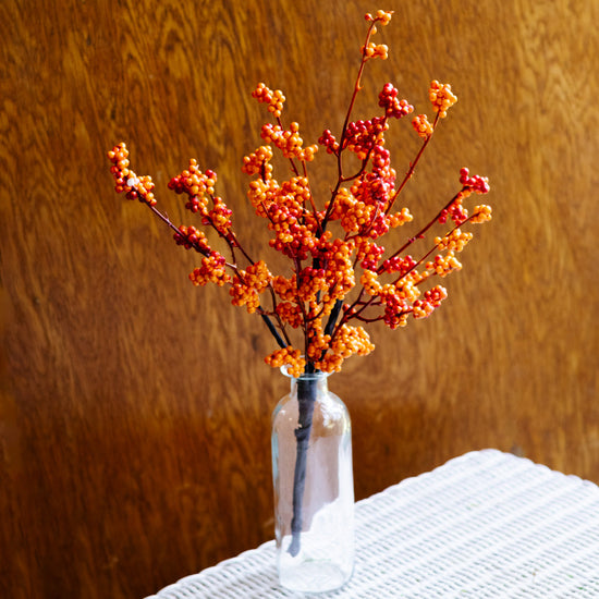 Orange Berry Bouquet Bush