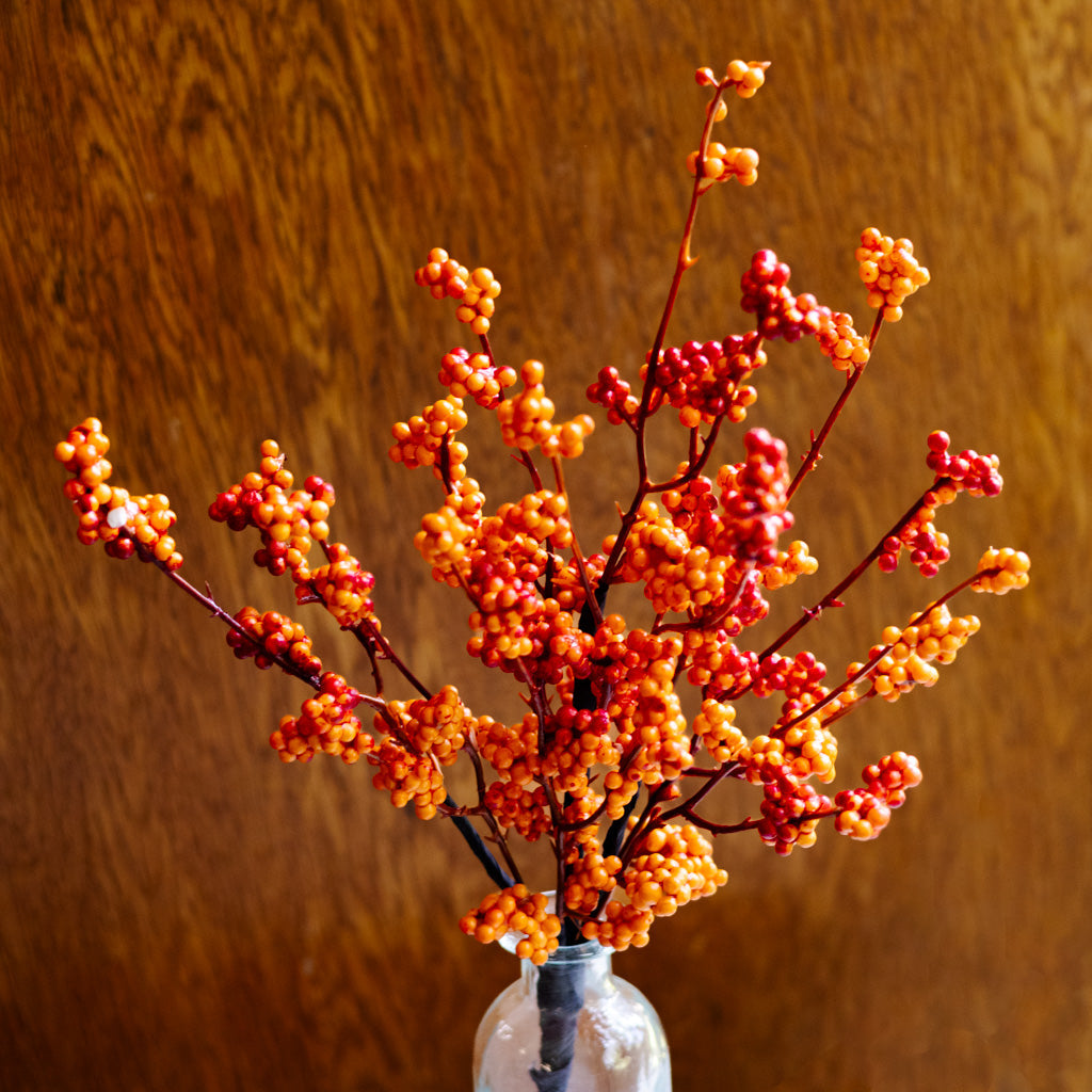 Orange Berry Bouquet Bush