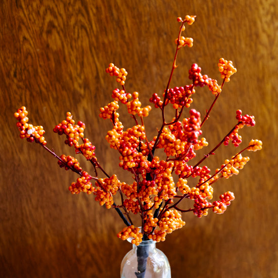 Orange Berry Bouquet Bush