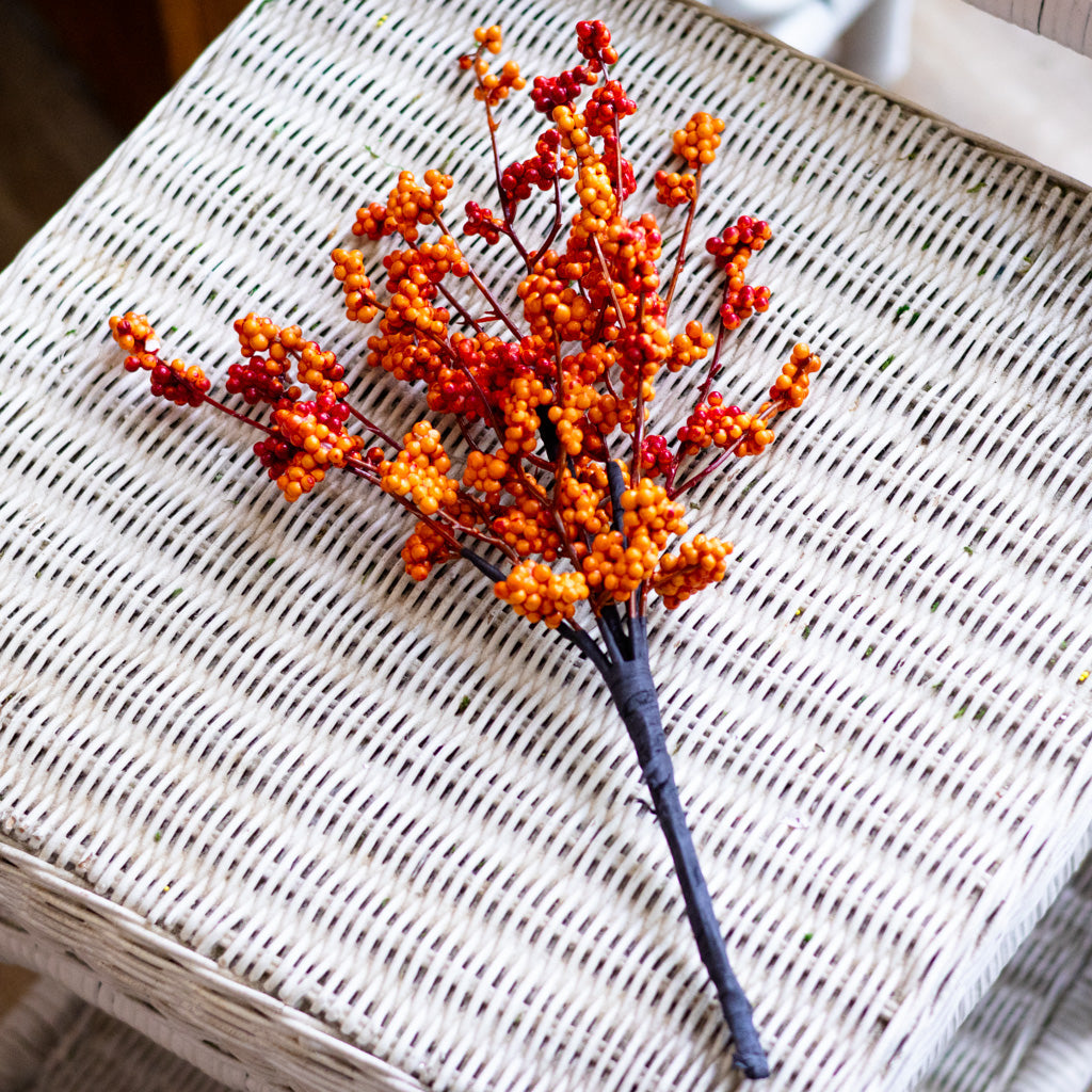 Orange Berry Bouquet Bush