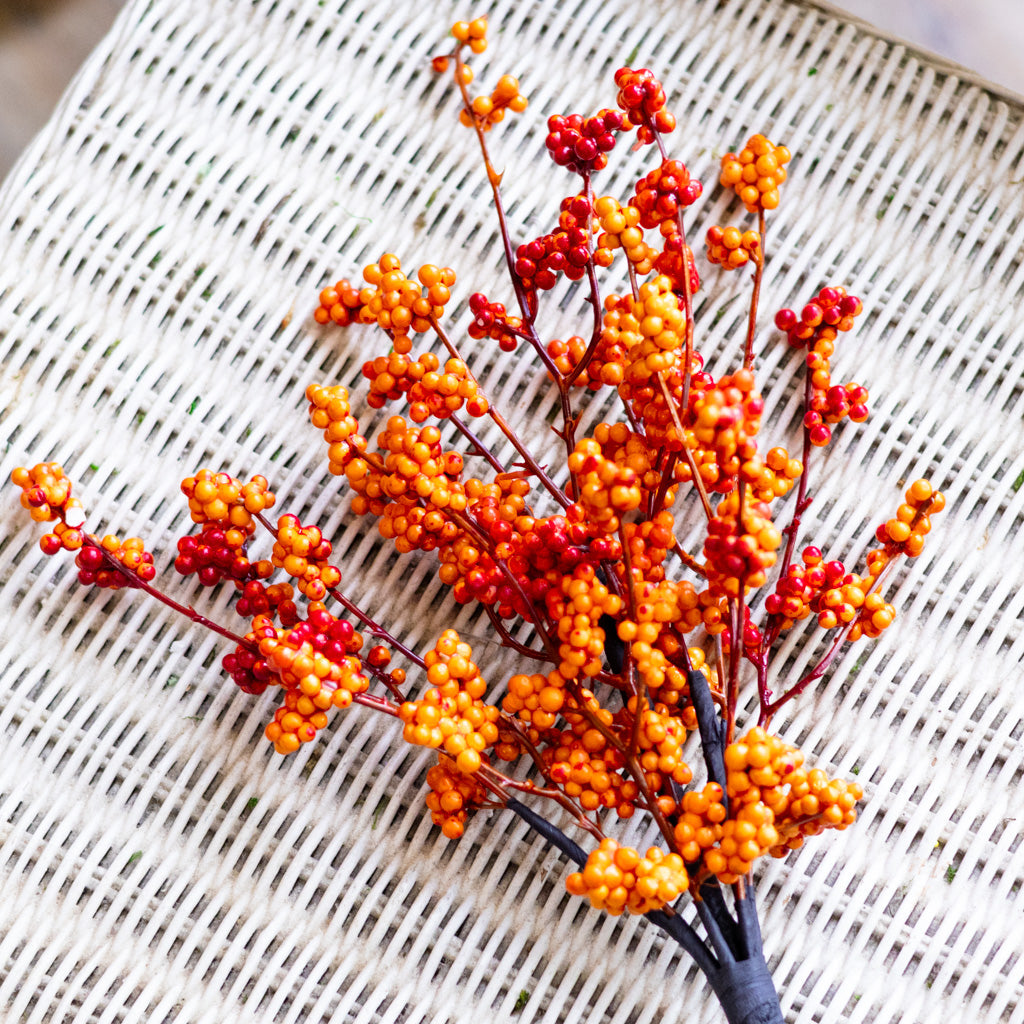 Orange Berry Bouquet Bush