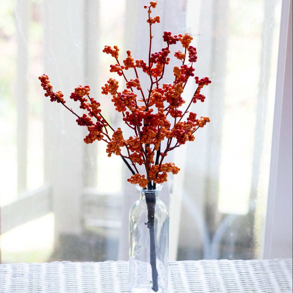 Orange Berry Bouquet Bush