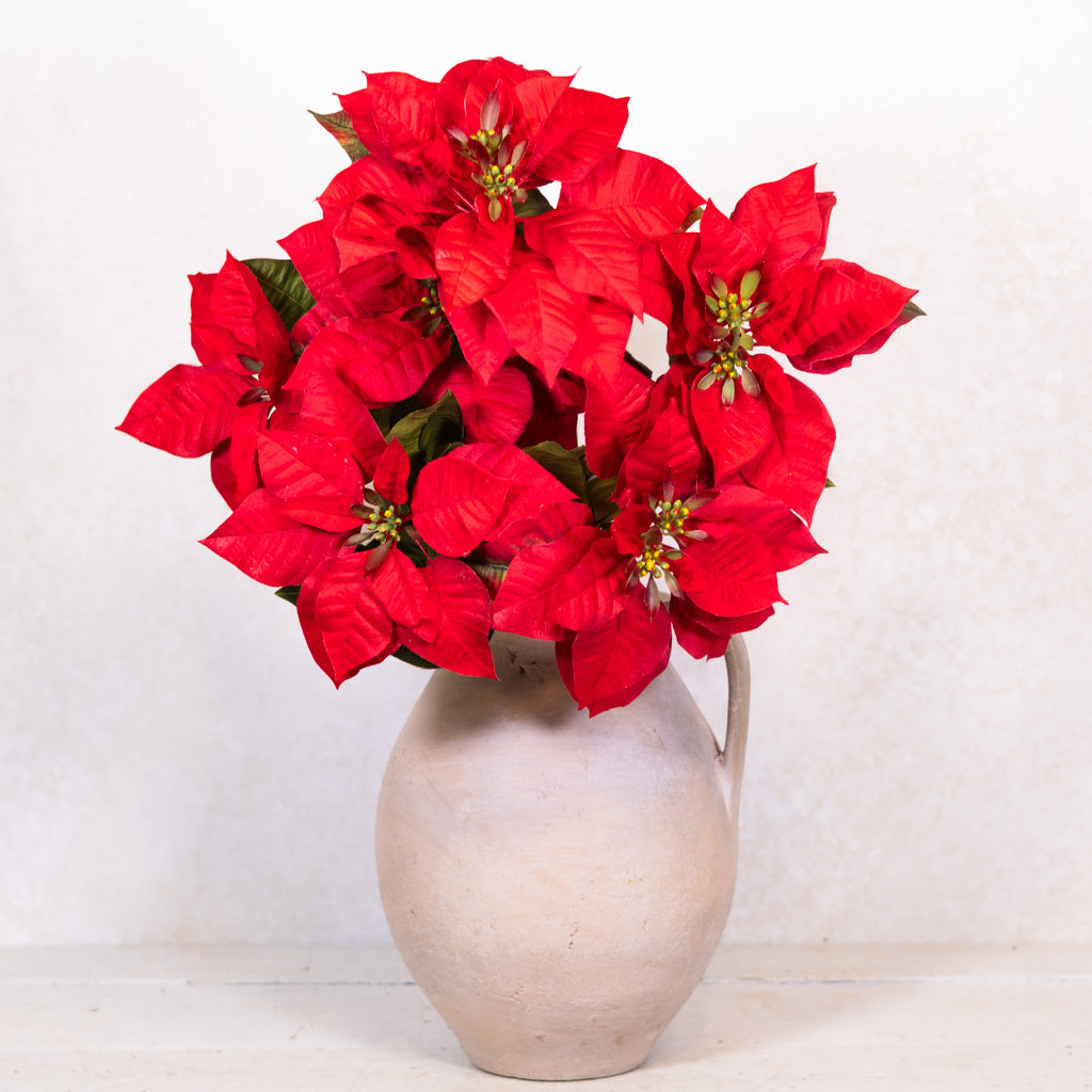 Red Poinsettia Bush