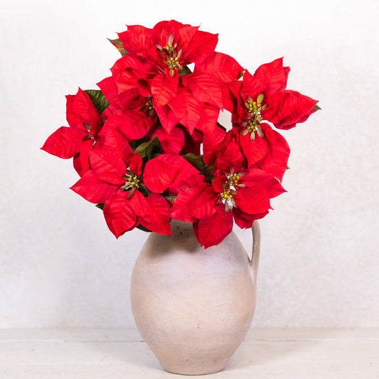 Red Poinsettia Bush