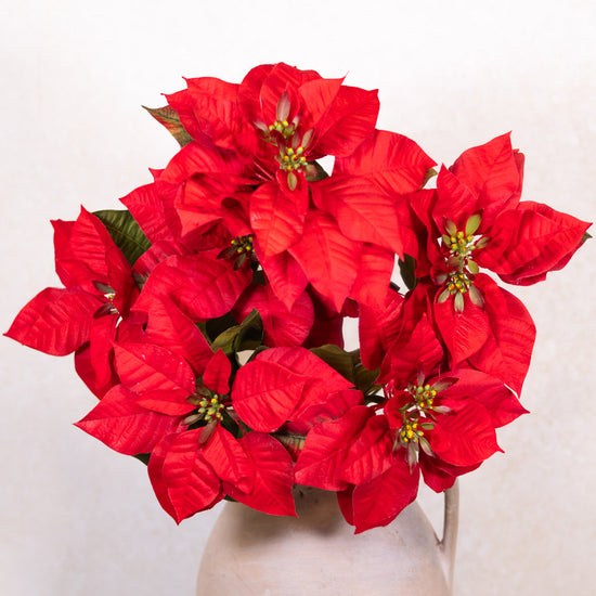 Red Poinsettia Bush