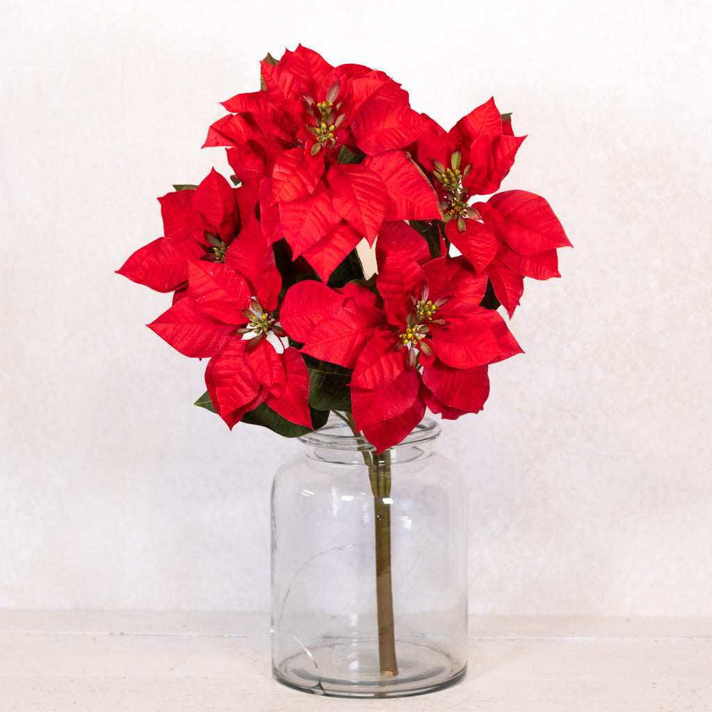Red Poinsettia Bush