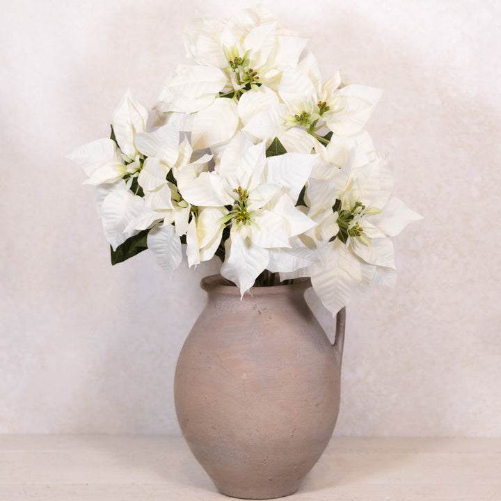 White Poinsettia Bush Weather Resistant
