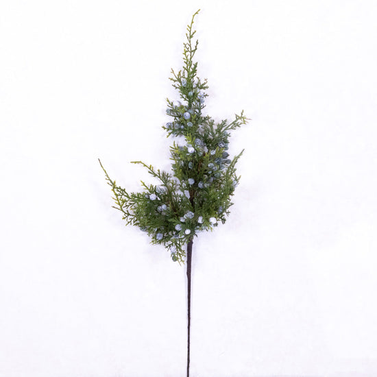 Juniper Spray with Berries Stem