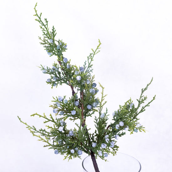 Juniper Spray with Berries Stem