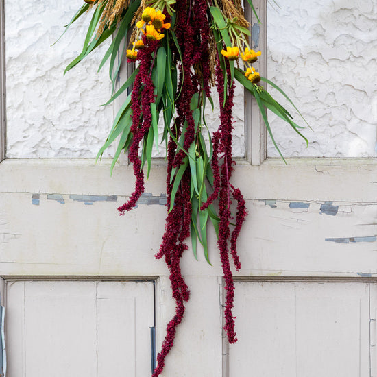 Sunflower Harvest Down Drop