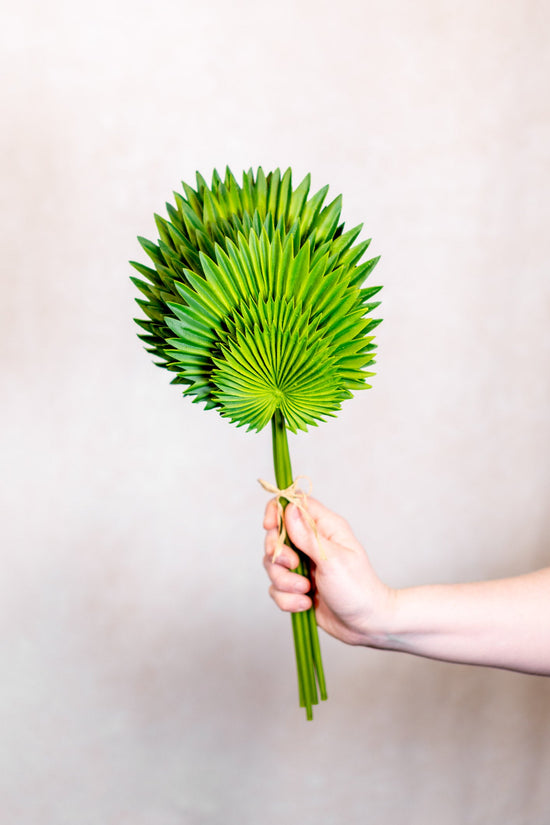 Fan Palm Leaf Bundle Real Touch
