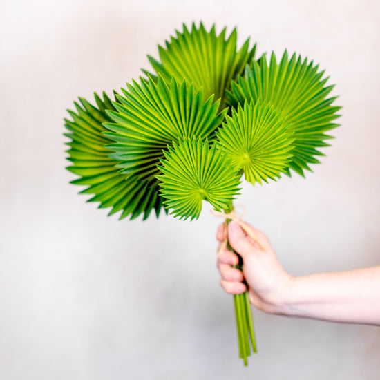 Fan Palm Leaf Bundle Real Touch