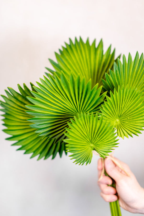 Fan Palm Leaf Bundle Real Touch