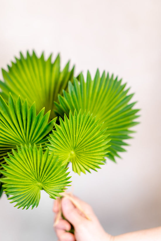Fan Palm Leaf Bundle Real Touch