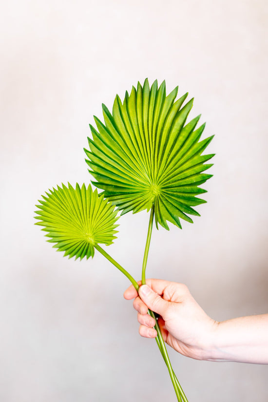Fan Palm Leaf Bundle Real Touch
