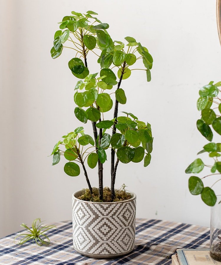 Artificial Potted Pilea Plant 26" Tall — decorative artificial greenery for indoor spaces seasonal decorating choice