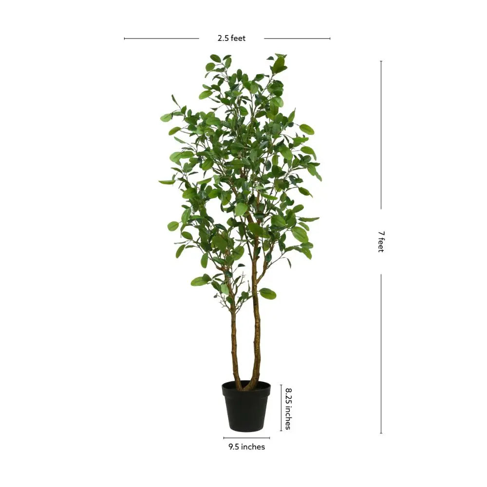7' Citrus Lemon Tree