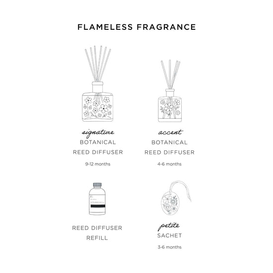 Reed Diffuser Refill - Sugared Citrus
