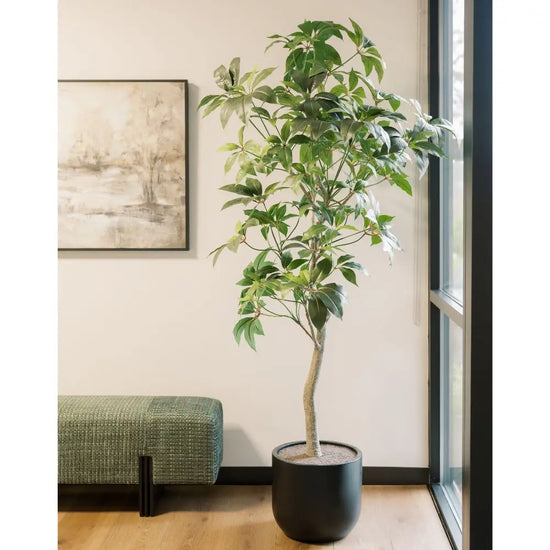 7' Faux Potted Money Tree