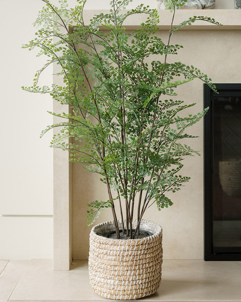Faux Maidenhair Fern