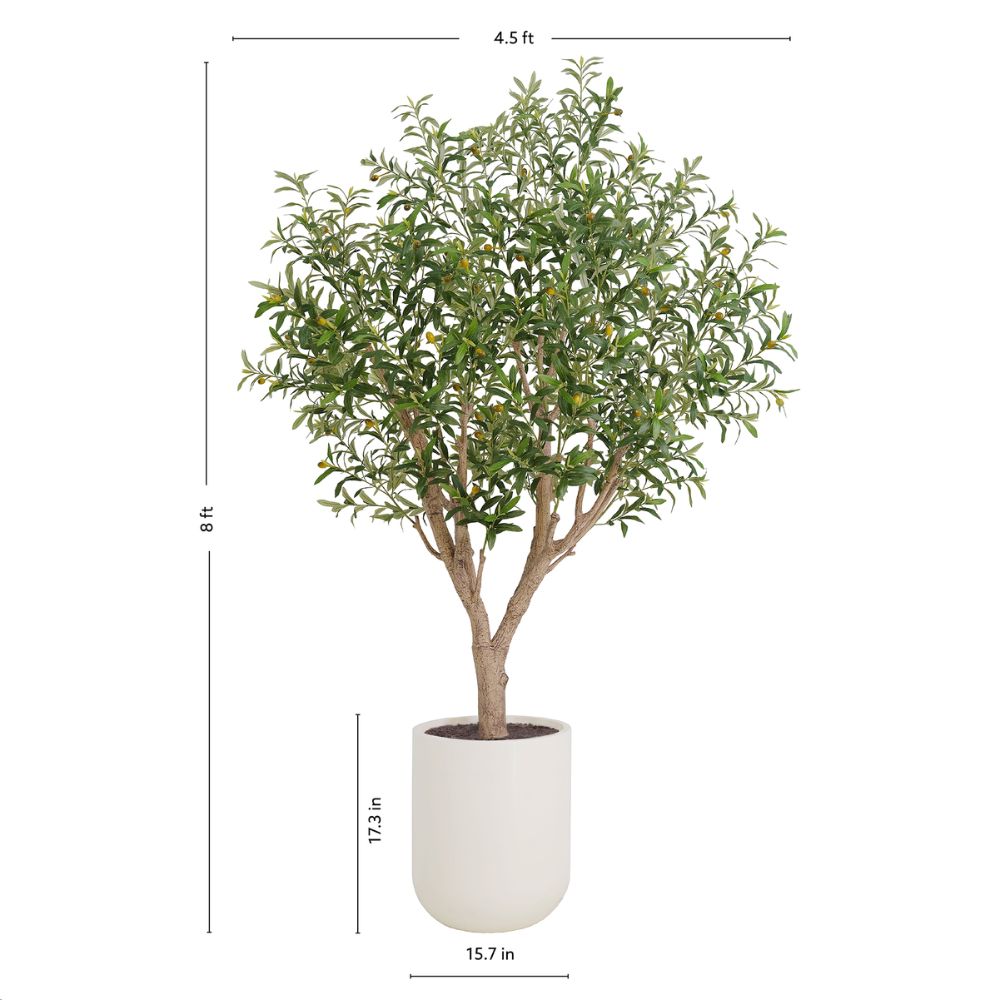 8' Olive Tree Potted in White Stone Pot