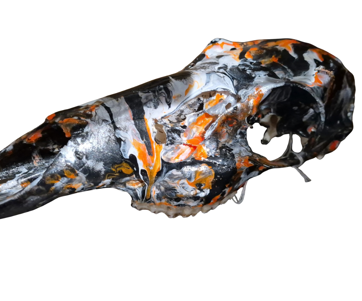 Orange Black Girl Deer Skull Acrylic Pour