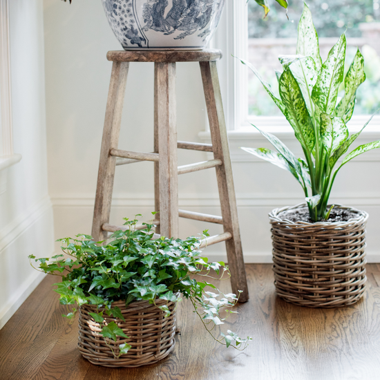 Rattan Planter Baskets