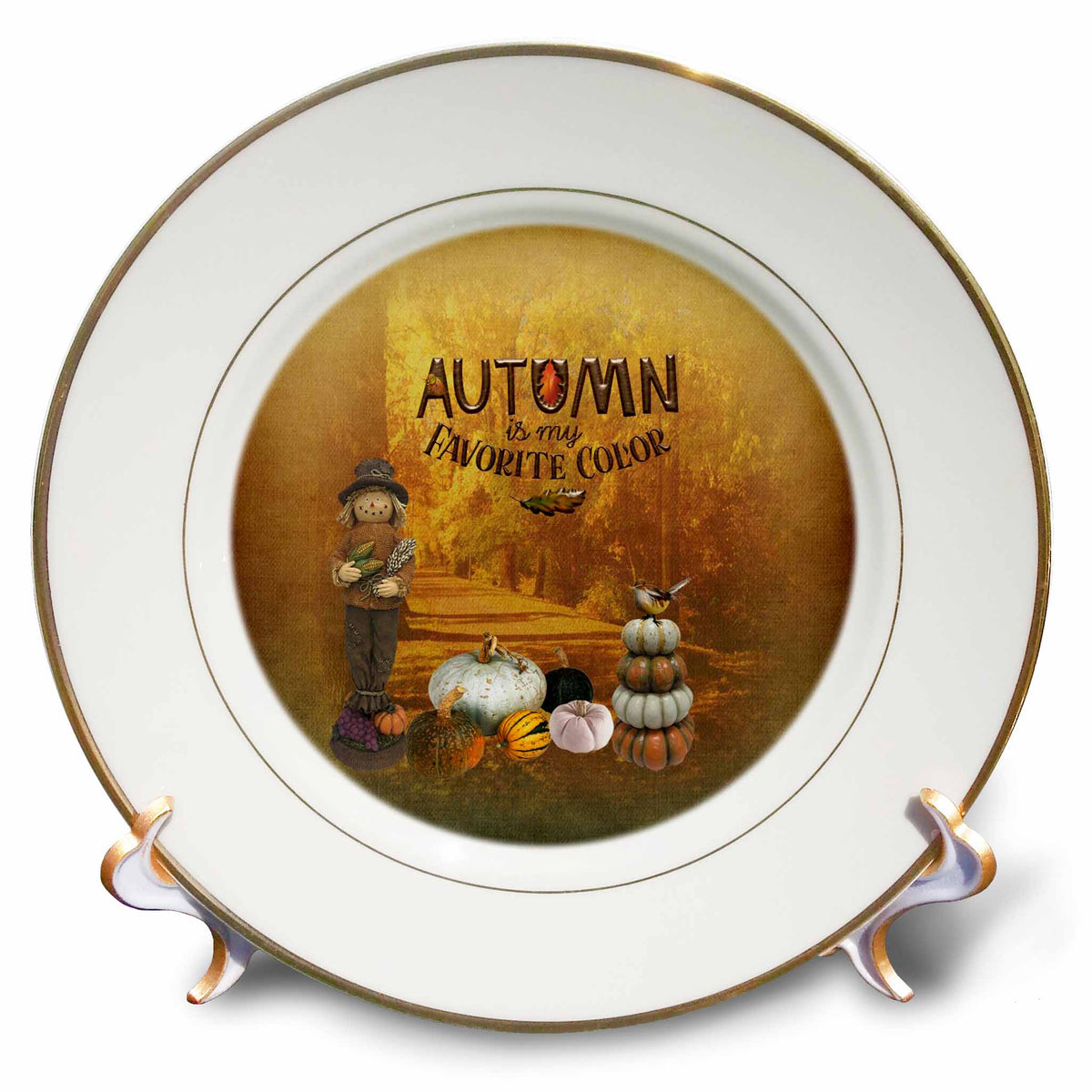 3dRose Autumn is My Favorite Color, Scarecrow with Pumpkins in The Forest - Plates (cp_326307)