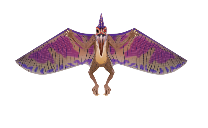 65 Inches Wide Nylon Pterodactyl Kite