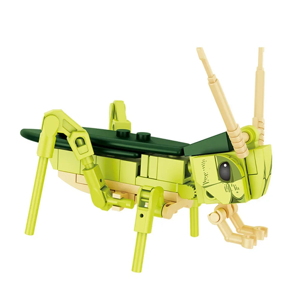 Insect Building Blocks Set Animal Models STEM Toy for Kids